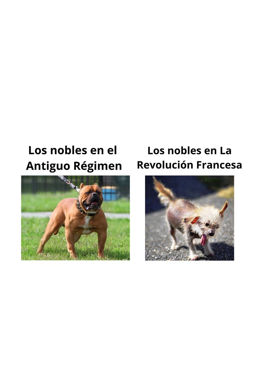 #EDIAmemerevolucion
#REAsomoslarevolucion
#LasNorias23