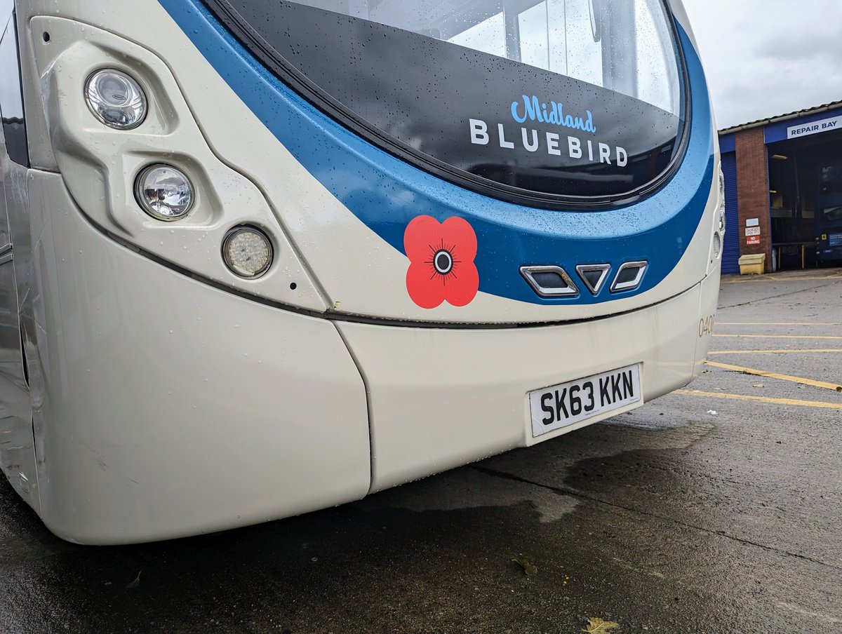 Poppies are growing <a href="/MidBluebird/">Midland Bluebird</a>