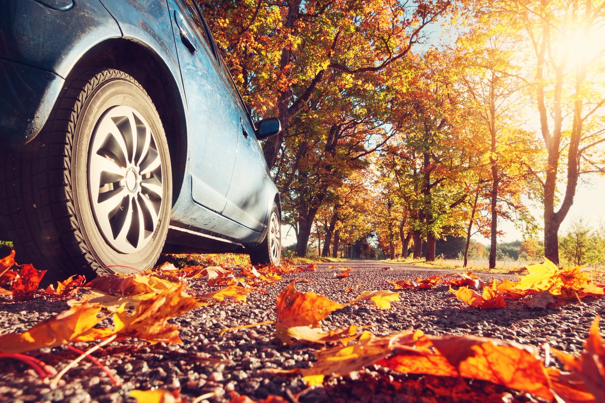 Time for a new ride? We got you covered! 🍂   

Our Fall Auto Special combines competitive loan rates, $200 cash back, and no payments for 90 days—all back for a limited time.    

💻 Learn More: bit.ly/3ZZdBLB

(Federally insured by NCUA)
