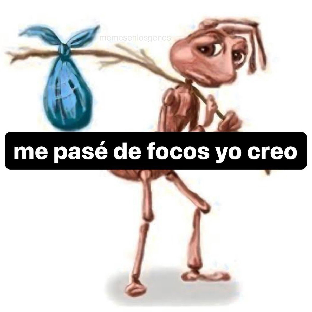 cuando no te dan la beca