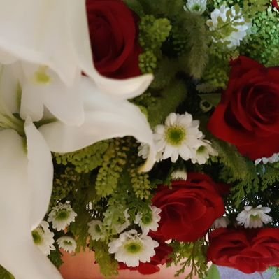 Camila Aguiar tweet media