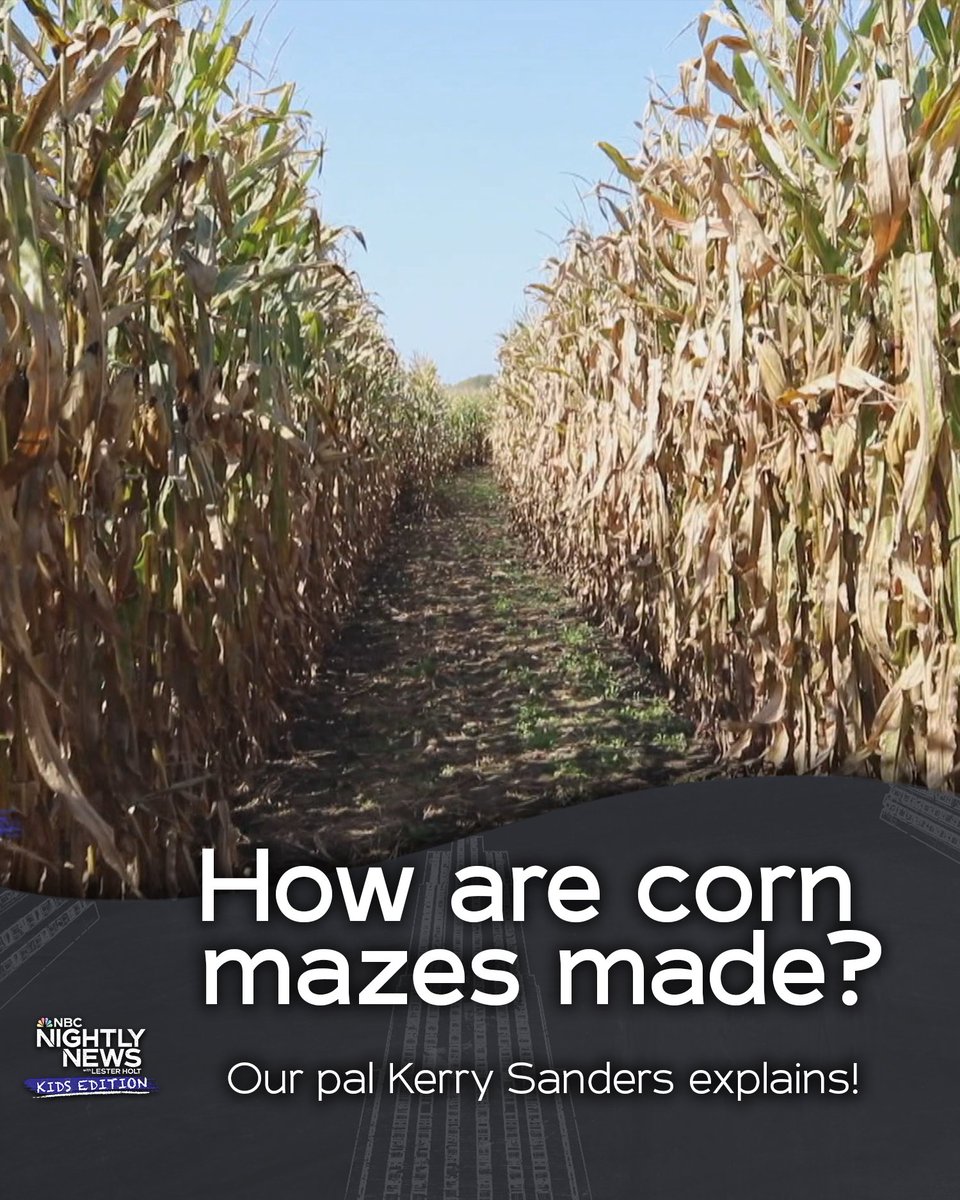 On the latest episode of Nightly News: Kids Edition: Fall is a popular time for a fun family activity – corn mazes! Our pal @kerrynbc shares more on how the giant puzzles are made! Watch more here: youtu.be/e8UuKa37G3k