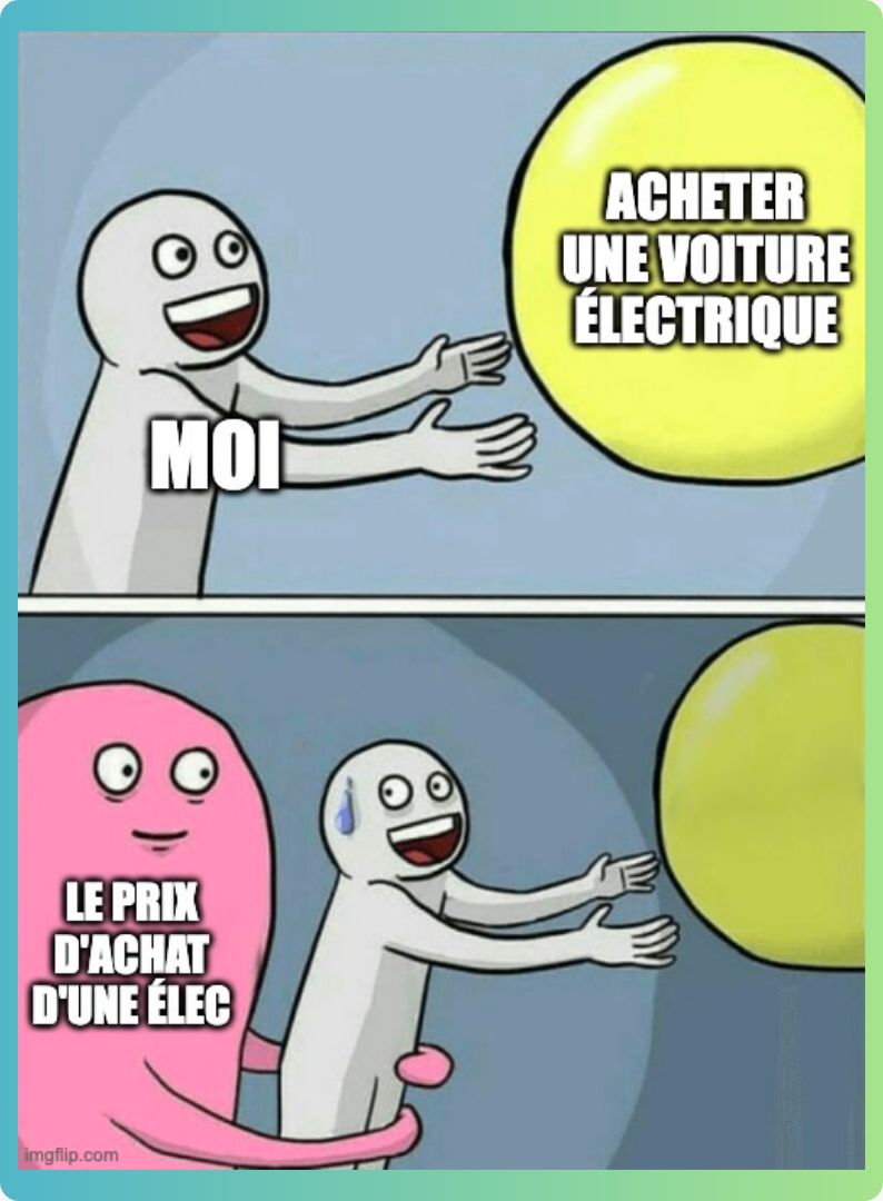 Lorsque le prix d'achat devient le challenge principal pour embrasser l'électrification routière! 💰⚡ 
#meme #voitureelectrique #mobiliteelectrique #humour #voiture #sourire #rire #automobile #electrique