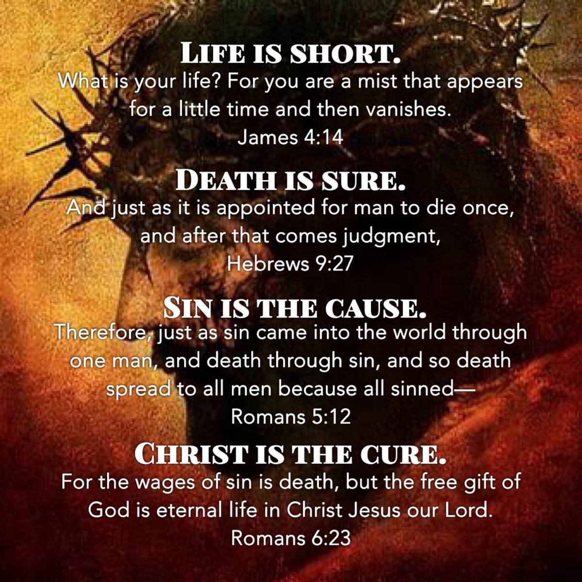 John 3:16-21 KJV 📜🕊️ tweet media