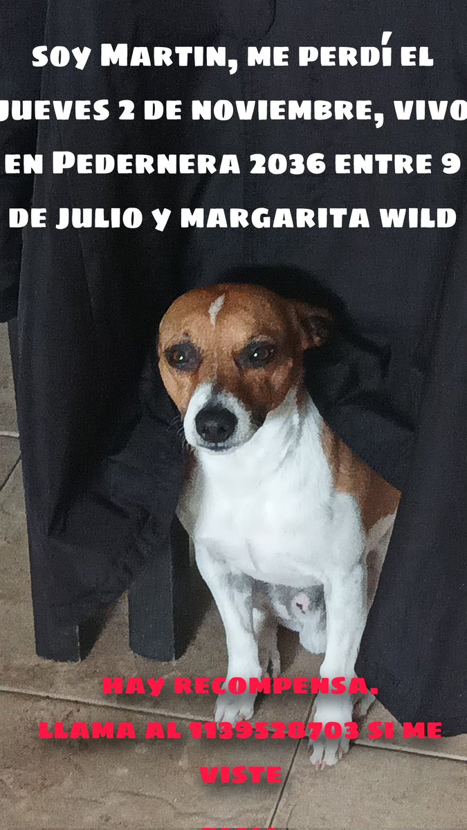 MenganoCapitan's tweet image. Estoy pasando un momento difícil...
Necesito ayuda de todos los granates para encontrar a mi perrito, un RT o cualquier información se agradece de antemano
@clublanus @La14Granate @Angelcarme98 @david9caruso @NicolasIeraci @Lanusnt @Lanussimpsons o cualquier cuenta que quierayuda