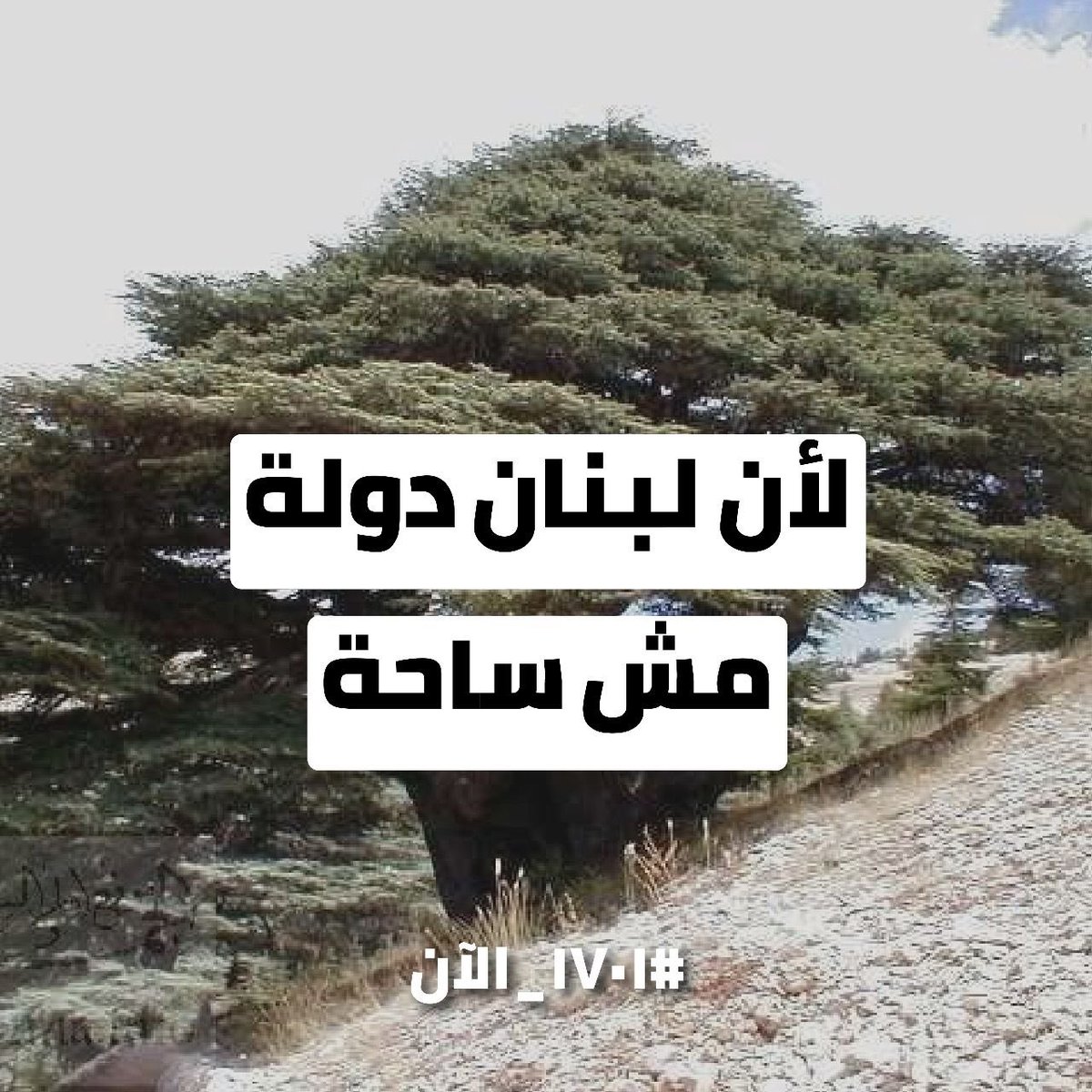 ElioYared5's tweet photo. #١٧٠١_الآن https://t.co/jrelUSwQBZ