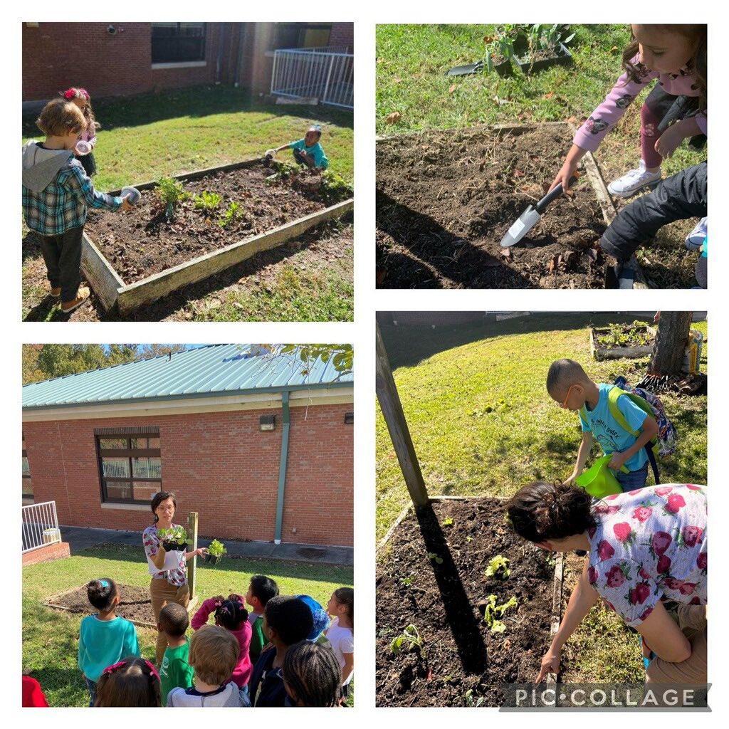 Our school garden is open! Thanks to @DPSHubFarm for the plant transplants and @DINE for the help getting started. @DurhamPublicSch @pmubenga @drstacydstewart @AKAFerrell_EdD #KeepingAcademicsFirst #WatchUSSOAR #WeAreDPS