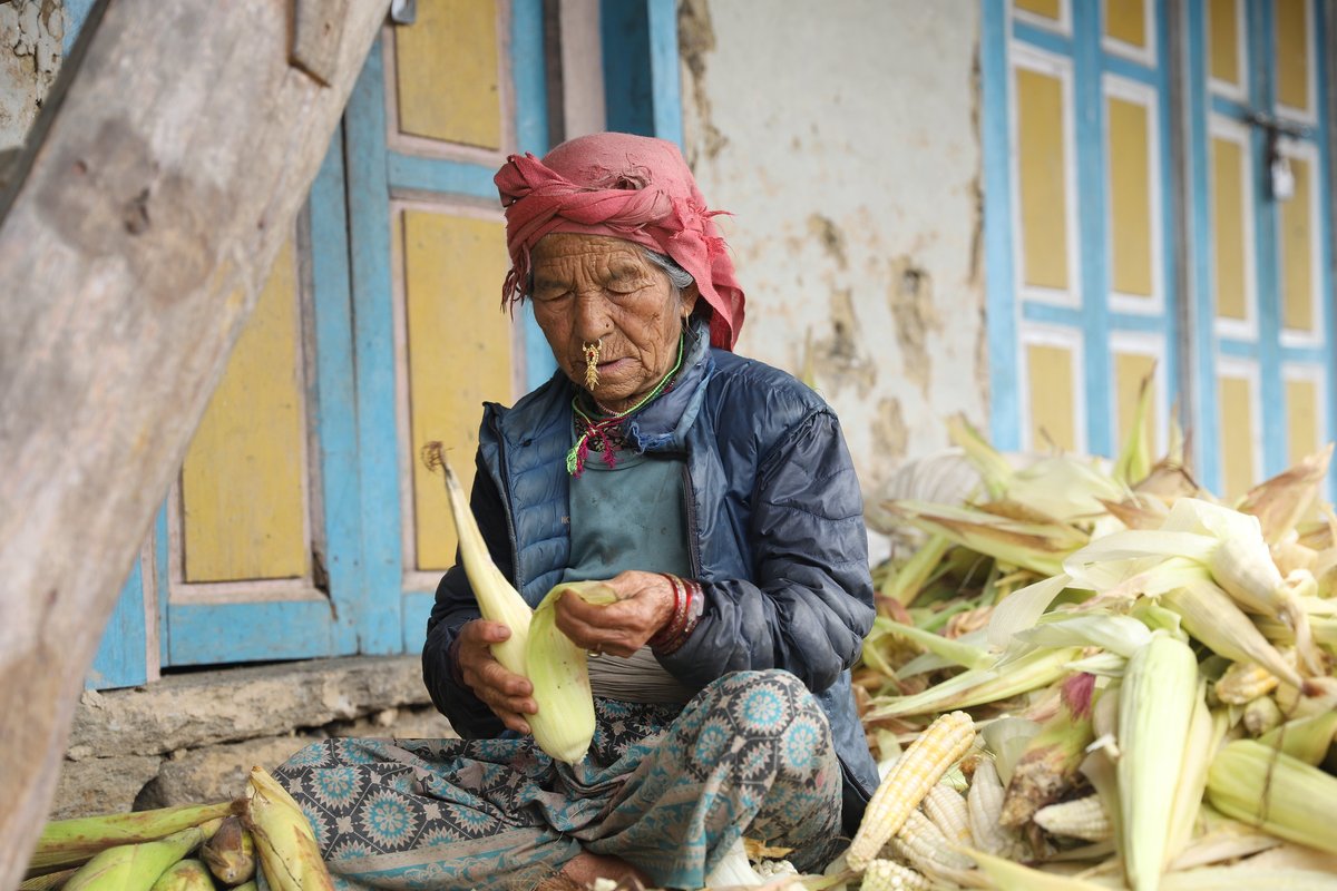 It's harvest season for Champachanni Rai.

After cultivating her corn through Nepal's annual monsoon rains, Champachanni is processing her harvest and preparing it for the winter. By partnering with dZi, more communities in Eastern Nepal are improving their food security.