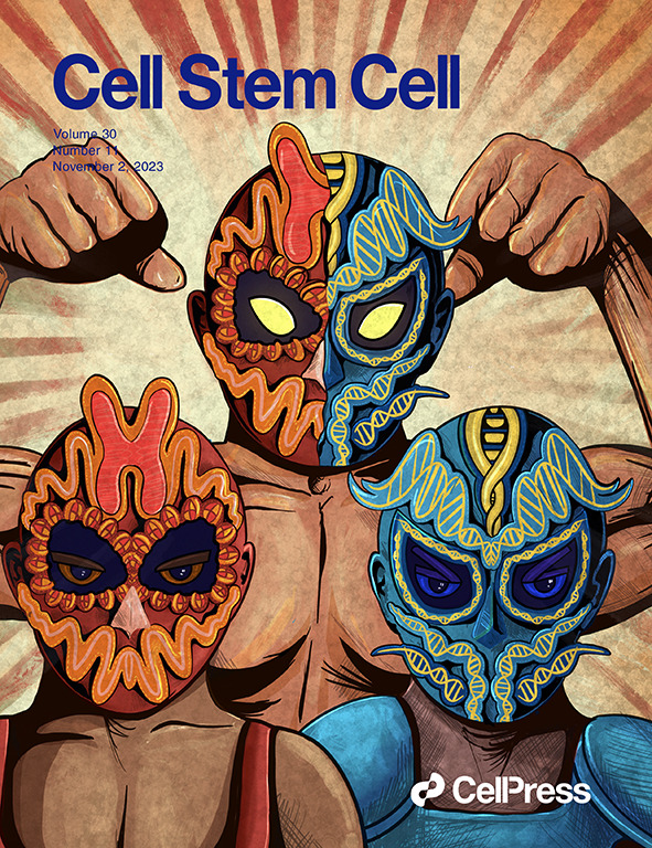 New issue alert! The cover from <a href="/Goodell_Lab/">Peggy Goodell</a> features their paper on SCRAP mutations in clonal hematopoiesis and how epigenetic dysregulation and DNA damage repair combine to "superpower" mutant HSC clones. Check this out and more: cell.com/cell-stem-cell…