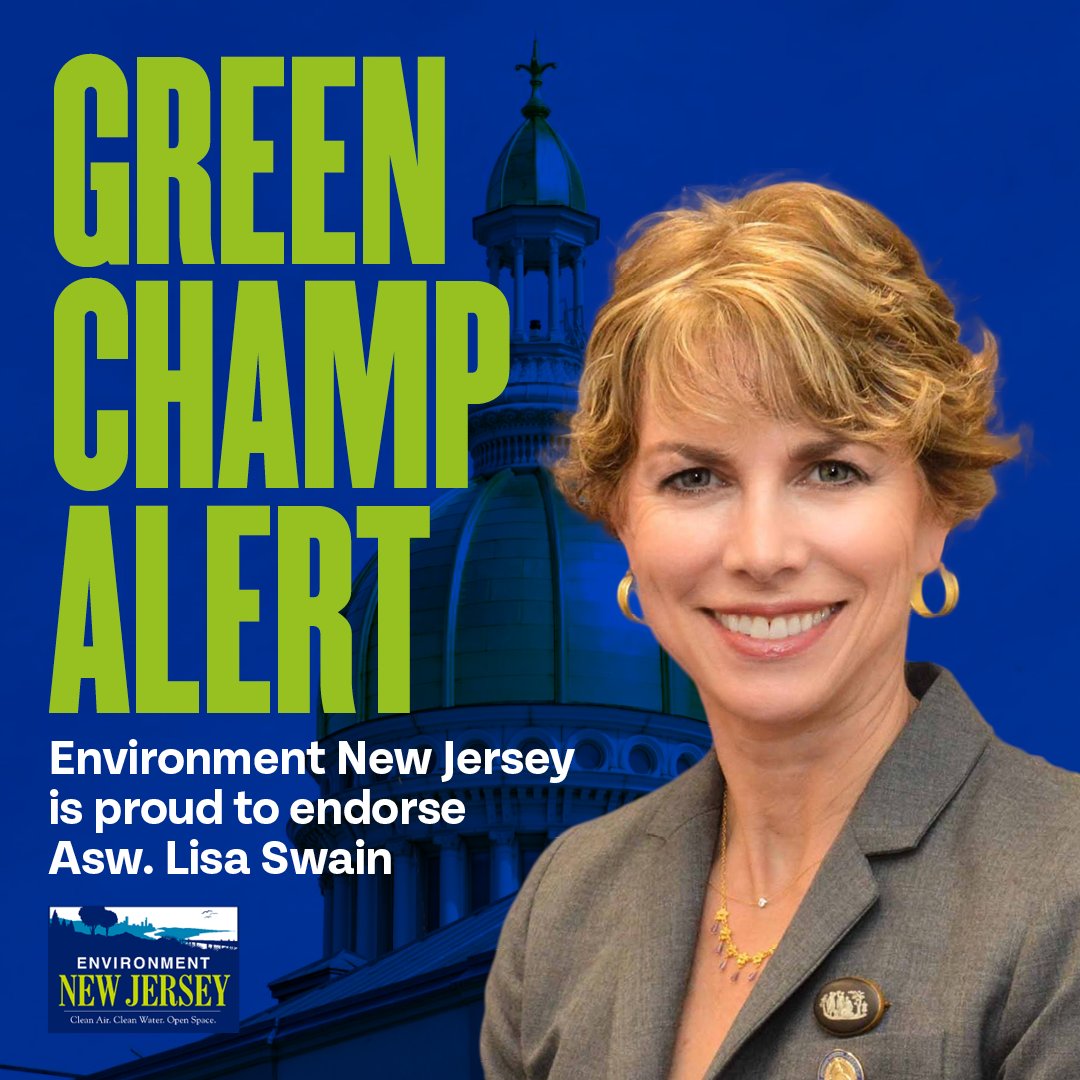 EnvironmentNJ's tweet image. Asw. Lisa Swain has fought to address our lead in drinking water crisis in homes &amp;amp; schools by testing &amp;amp; replacing lead service lines. She fought to ban asbestos and electrify transit buses. Proud to endorse for Assembly in LD 38. #VoteGreen tinyurl.com/3jj2a9zz