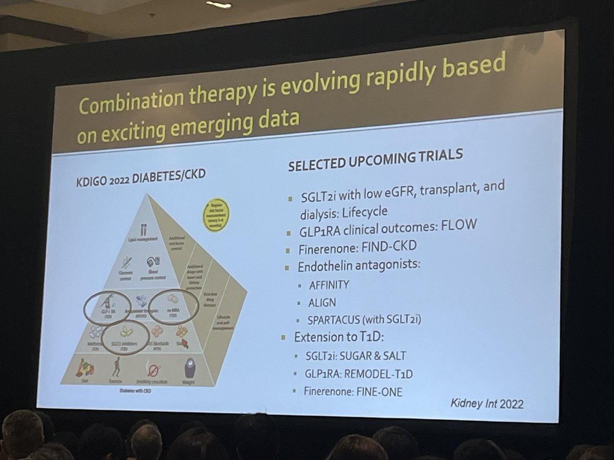 FlozinationInt's tweet photo. Interesting thing, mainly in T2D:

🔆SGLT2i work w/ or w/o RAASi
🔆GLP1A, Finerenone, and ETAi work w/ or w/o SGLT2 i

Updates on recommendations and 🔜RCT

#flozinate #nephpearls https://t.co/yK27z7Etu9