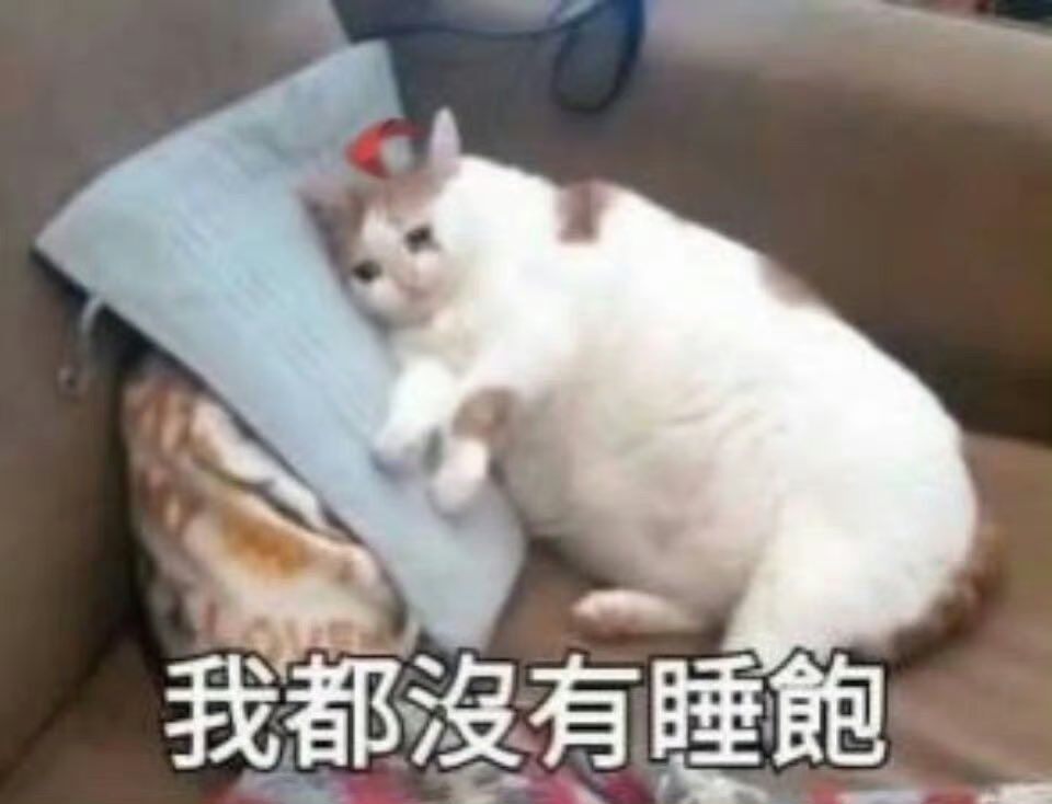 1Lingdu's tweet photo. 导师与牛马之间总有着不可调和的利益冲突
压力大死了 https://t.co/mD57XDbdog