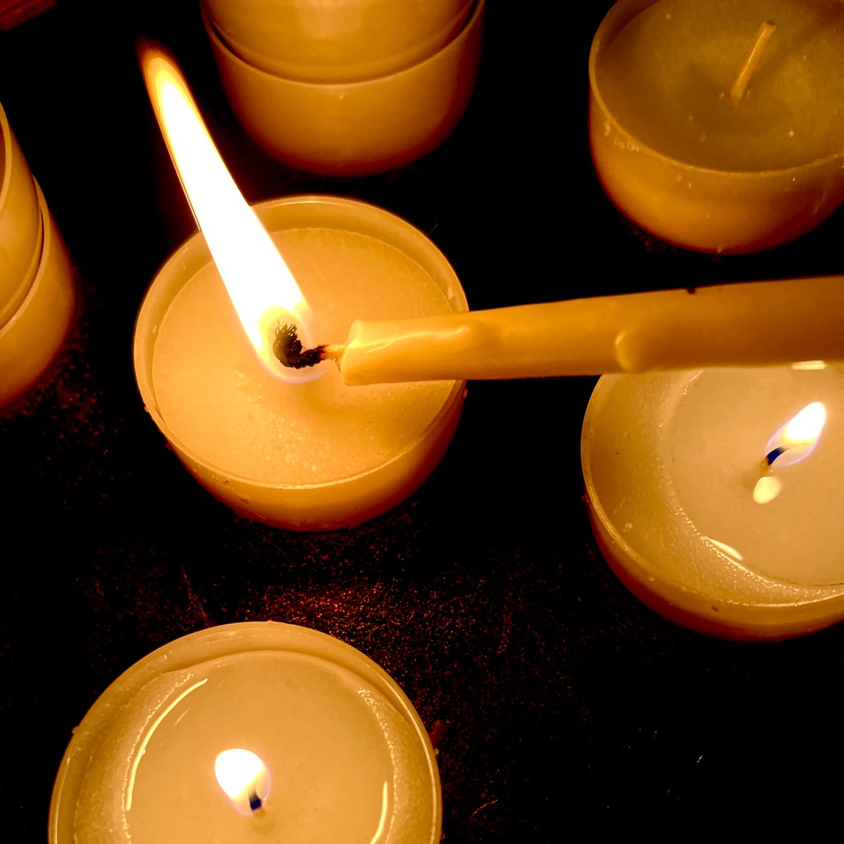 Wenn Patientinnen und Patienten sterben, sind auch wir traurig.
Heute ist Allerseelen, der Tag, an dem der Verstorbenen gedacht wird.
#traurig #allerseelen #palliativecare #palliaviva