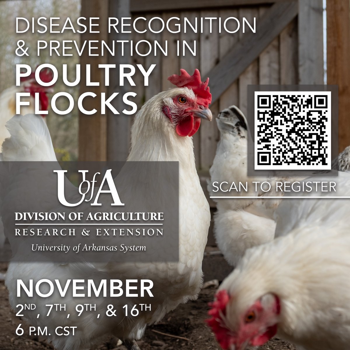 The Cooperative Extension Service is holding 4 webinars to help owners of backyard, hobby or small flocks to protect their poultry from avian influenza. Tune into the first free webinar tonight at 6 p.m. Register at: uada.zoom.us/webinar/regist….  <a href="/AginArk/">UA System Div of Ag</a>