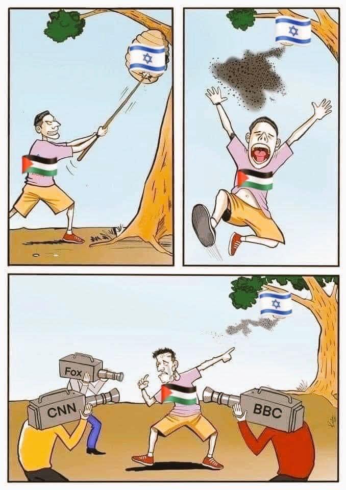 American Patriot tweet media