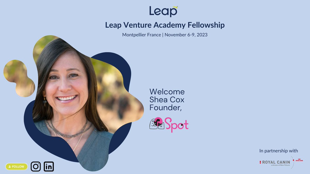 Leap Venture Studio & Academy tweet media