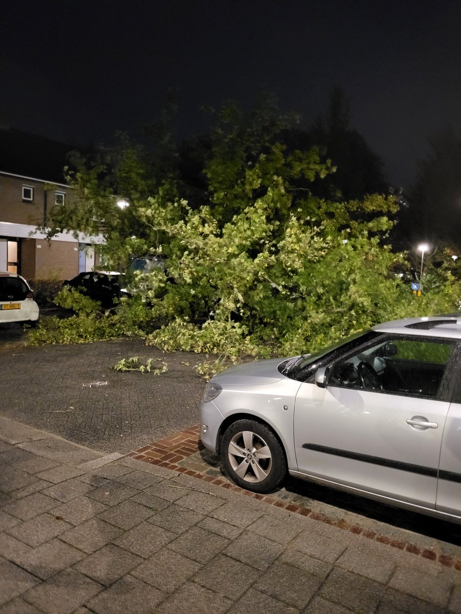 Stach010's tweet photo. Iets van geluk bij een ongeluk. Geen huizen beschadigd en persoonlijke ongelukken maar wel diverse voertuigen op de parkeerplaats.
#Ommoord #AlbertSchweitzerplaats 
#Ciaran https://t.co/2GOWpQK1zg