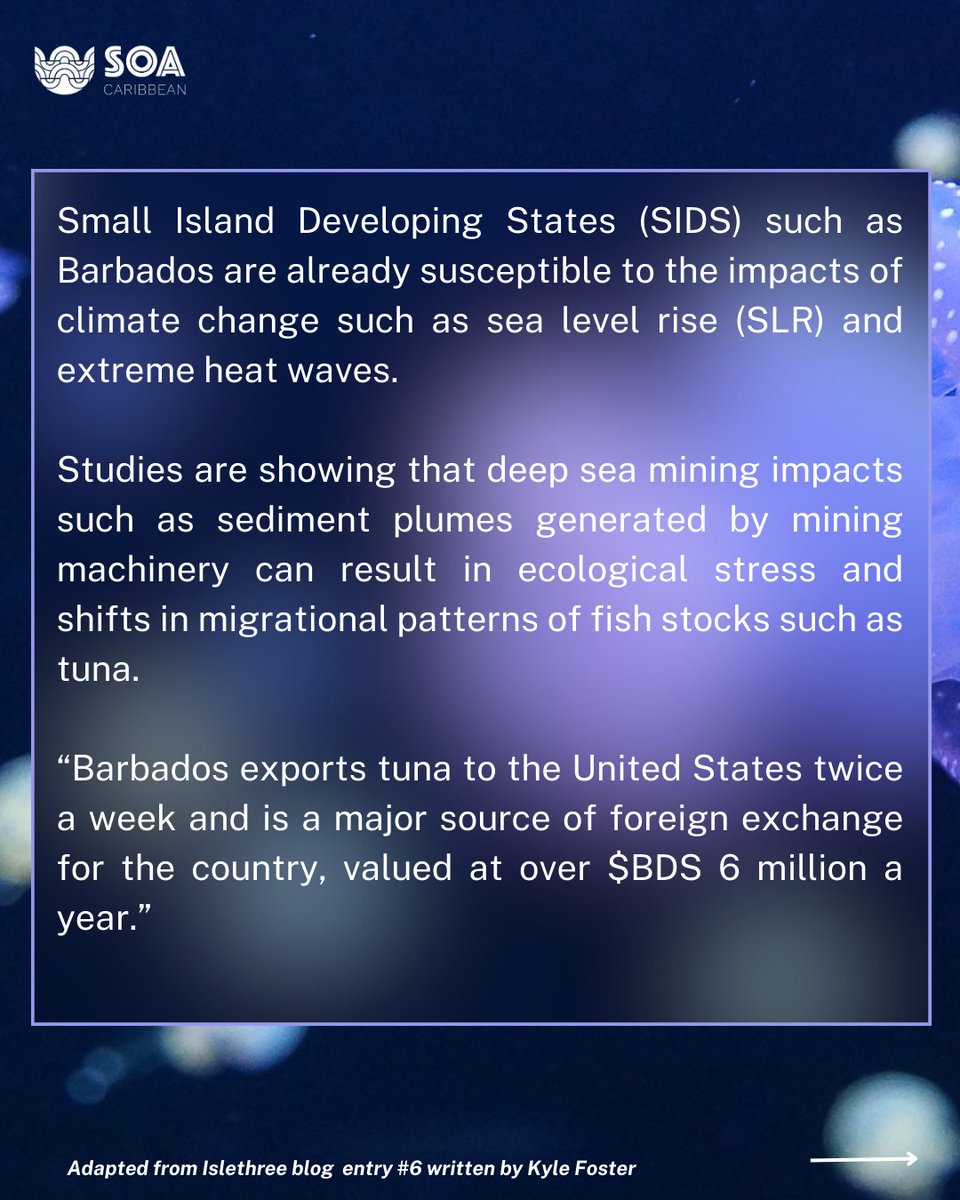 ecoseas_carib's tweet image. We call on Caribbean leaders to #defendthedeep🚨 !

Content adapted from an incredible piece written by SOA-Barbados member Kyle Foster.

Please check out his full article at this link: islethree.com/journal-1/entr…

#saynotodeepseamining
#keepitinthedeep