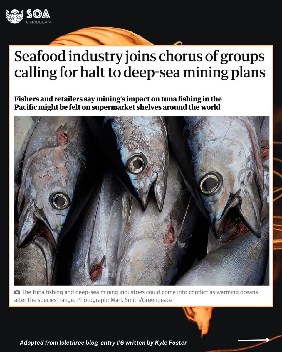 ecoseas_carib's tweet image. We call on Caribbean leaders to #defendthedeep🚨 !

Content adapted from an incredible piece written by SOA-Barbados member Kyle Foster.

Please check out his full article at this link: islethree.com/journal-1/entr…

#saynotodeepseamining
#keepitinthedeep
