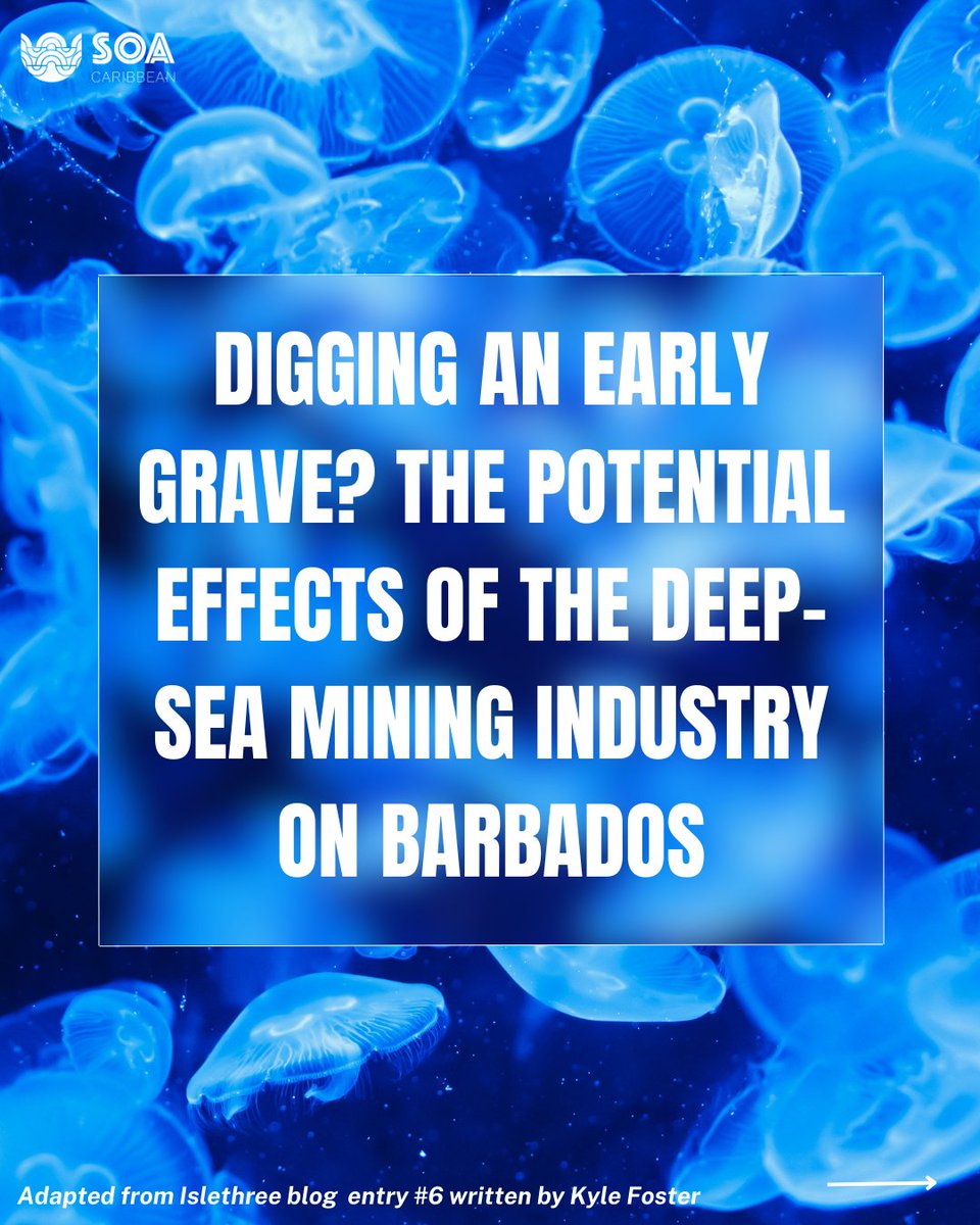 ecoseas_carib's tweet image. We call on Caribbean leaders to #defendthedeep🚨 !

Content adapted from an incredible piece written by SOA-Barbados member Kyle Foster.

Please check out his full article at this link: islethree.com/journal-1/entr…

#saynotodeepseamining
#keepitinthedeep