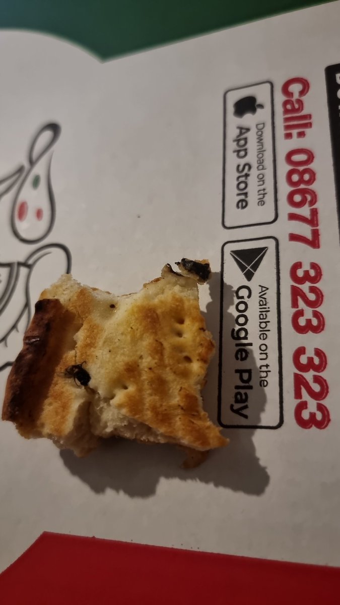 stevenjuru's tweet photo. @PizzaInnZim @PraisemorePhiri @TrustManuel1 ,You sold me a pizza with a fly at Sanganai Inn . https://t.co/5eTbCSQfst