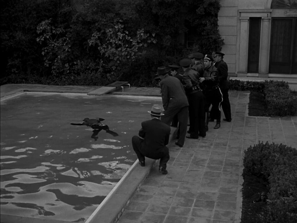 Tony Denzer tweet media