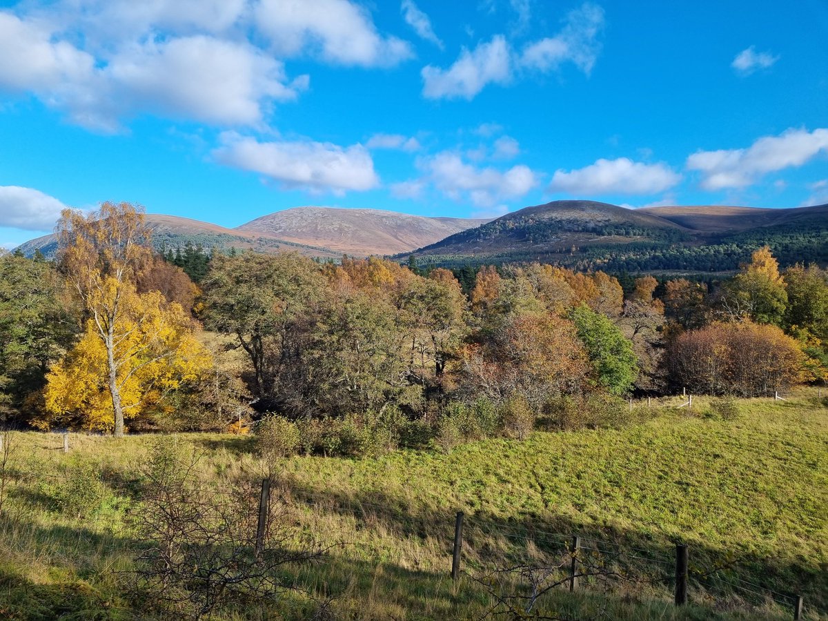 🏴󠁧󠁢󠁳󠁣󠁴󠁿 remote cafe with the most amazing views was found whilst on a mountain bike ride in the Cairngorms. Weather was perfect on Tuesday.