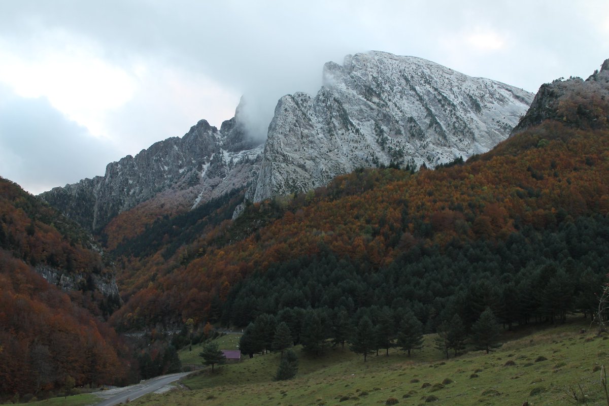 paula_bescos's tweet photo. Zuriza 🍁❄️ https://t.co/KVFtMOvK3R