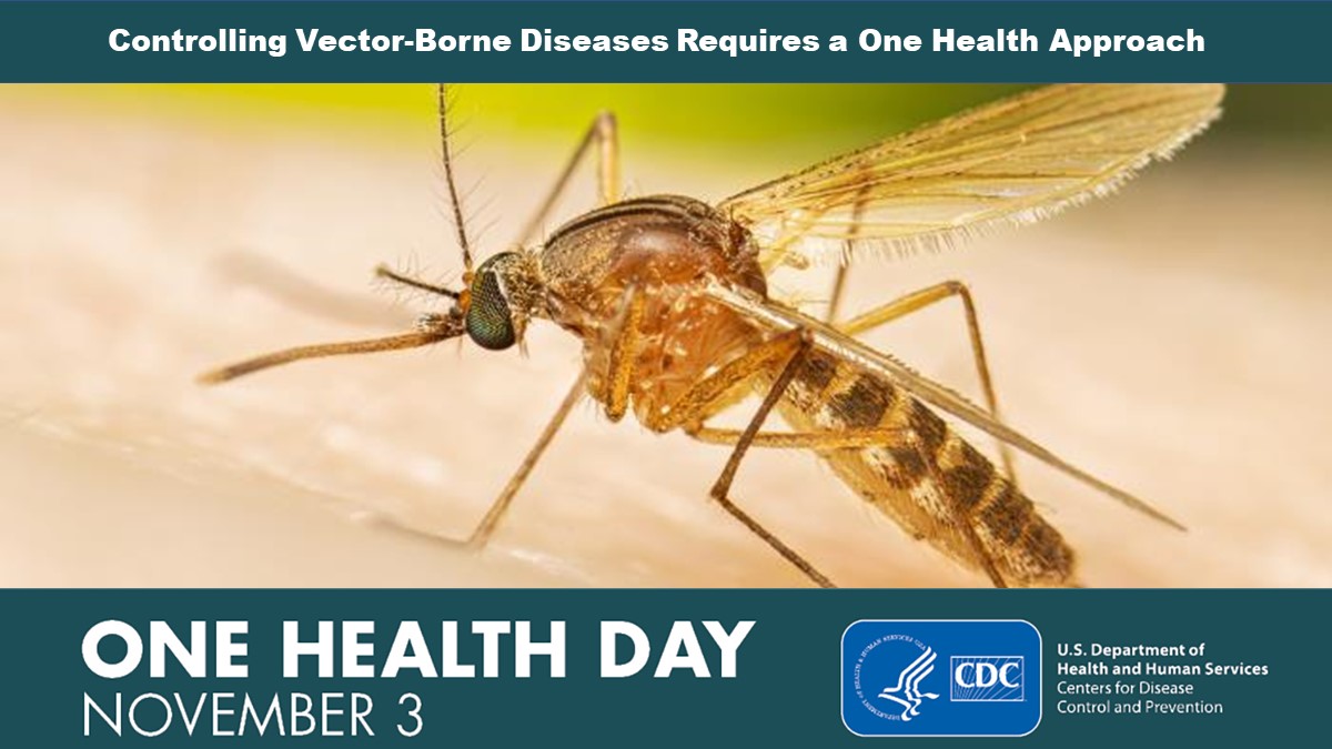 Bites from mosquitoes & ticks can make you sick! #OneHealthDay on Nov 3 recognizes the connection between people, animals, & their shared environment. Everyone can take steps to fight the bite & protect yourself: bit.ly/3seAluF