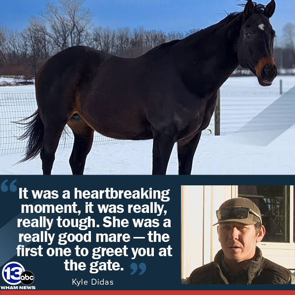 13WHAM tweet media