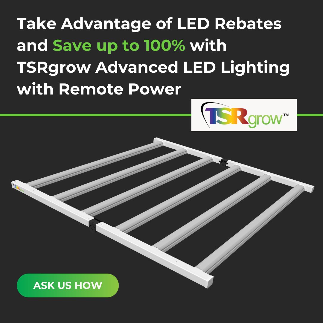 Cash in on energy rebates and get FREE LIGHTING with TSRgrow! Let us be your guide to rebates in your area and help you save. Slide into our DMs or visit bit.ly/3Mo7Am4. #tsrgrow #energyrebates