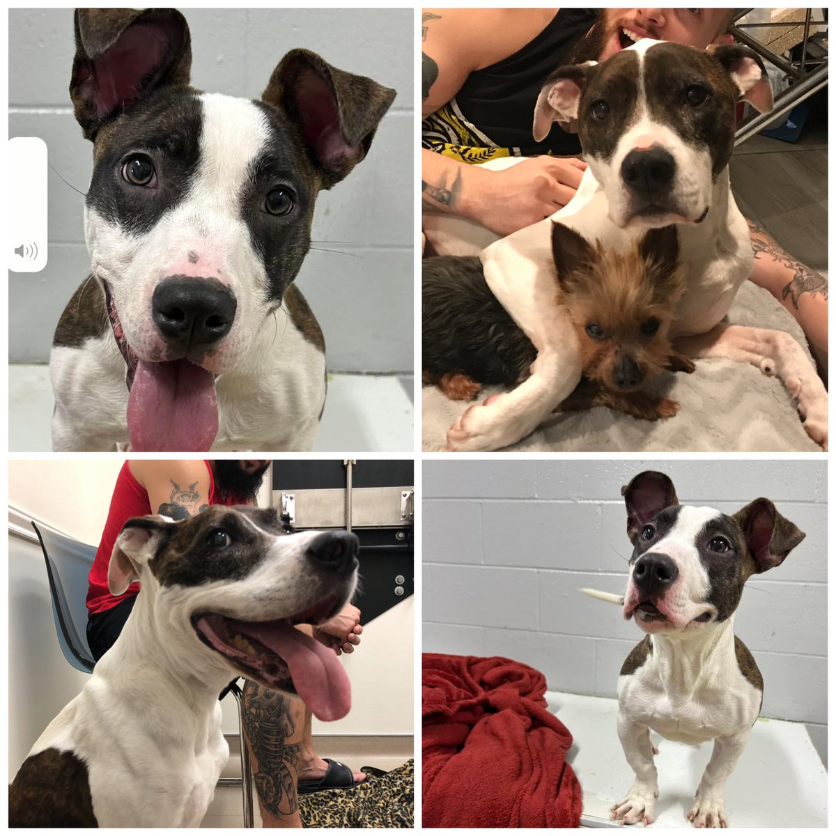 Lady Frost tweet media