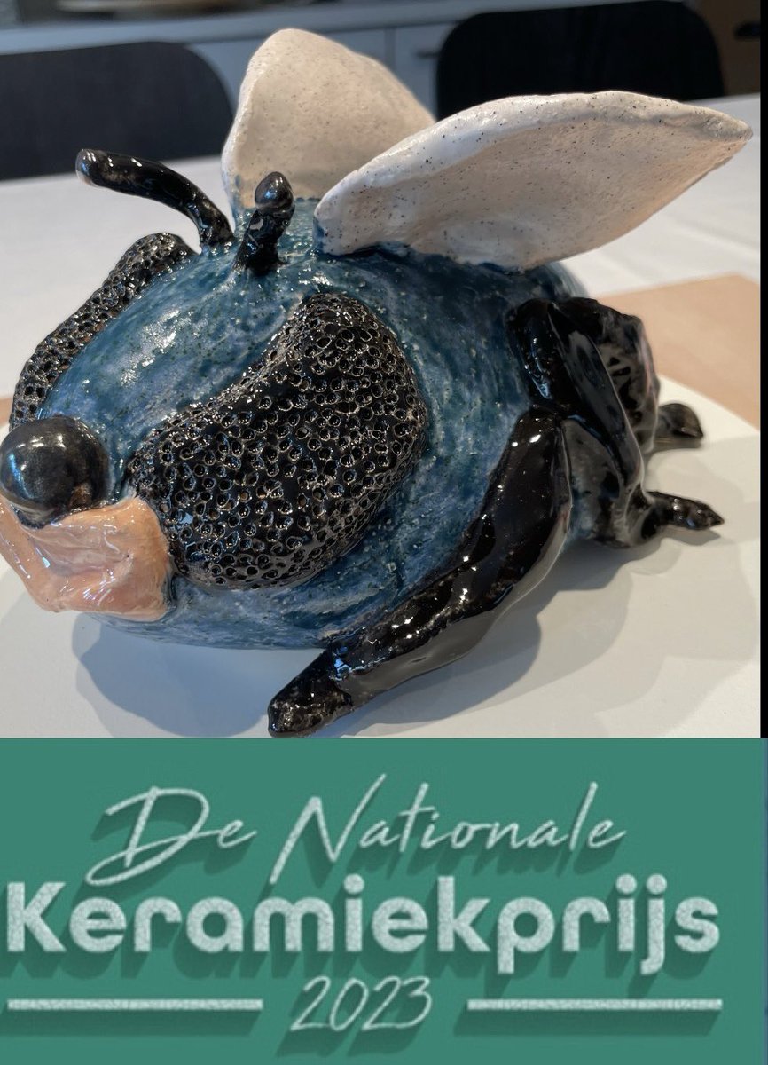 Ik heb zoveel mogelijk stemmen nodig om de publieksprijs te krijgen, helpen jullie me mee? Alvast ontzettend bedankt voor je hulp! 

nationalekeramiekprijs.nl/werk-bekijken/…