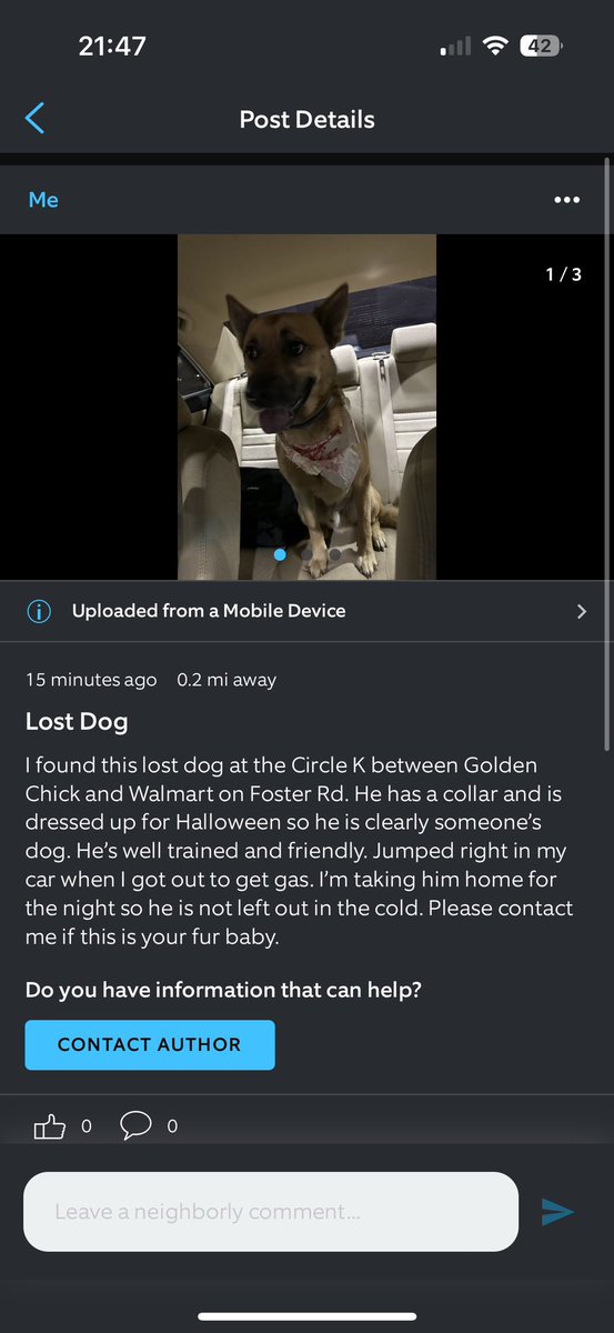 susyramirez_'s tweet photo. Found in San Antonio TX. Please let me know if you know who this dog belongs to ❤️ https://t.co/k3FOHU3h9P
