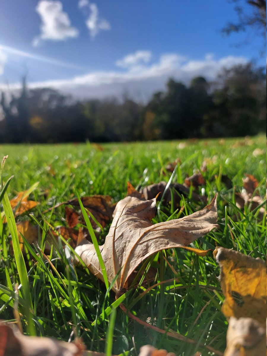 AakankshaShett3's tweet photo. Last of All🍂 https://t.co/HvodvHIq6k