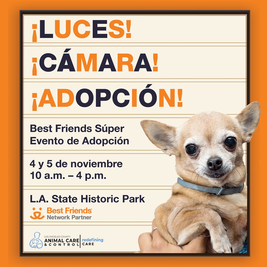 🎬 Join us for a star-studded adoption event! 🌟 Get ready to find your new co-star and be the hero of their story! Several of our care centers are participating in @bestfriends adoption event this Saturday, so come see us and tons of other LA-area rescues 🐾