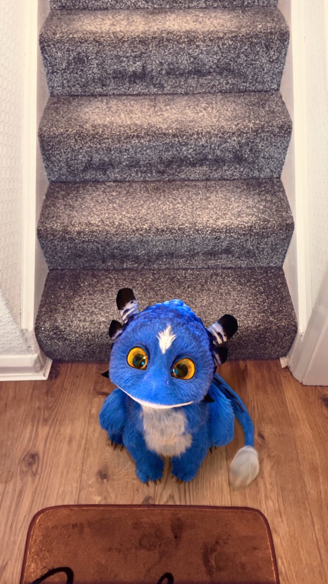 🎉 Exciting News: New Tim and Bash Live-Action Episode! 🎥

👇👇👇 Watch the short HERE 👇👇👇
youtube.com/shorts/mfPe_Y-…

👂 Thanks to <a href="/audiocreatures/">AudioCreatures 🎶 🎮</a> for the amazing sound!

#youtube #video #pet #dragon #funny #furry #animation #vfx #cute #timandbash