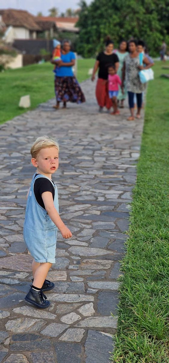 Christine Zandberg tweet media