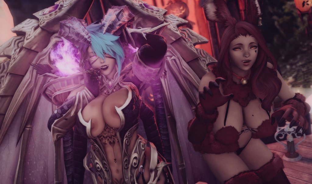 Lexicat~ tweet media