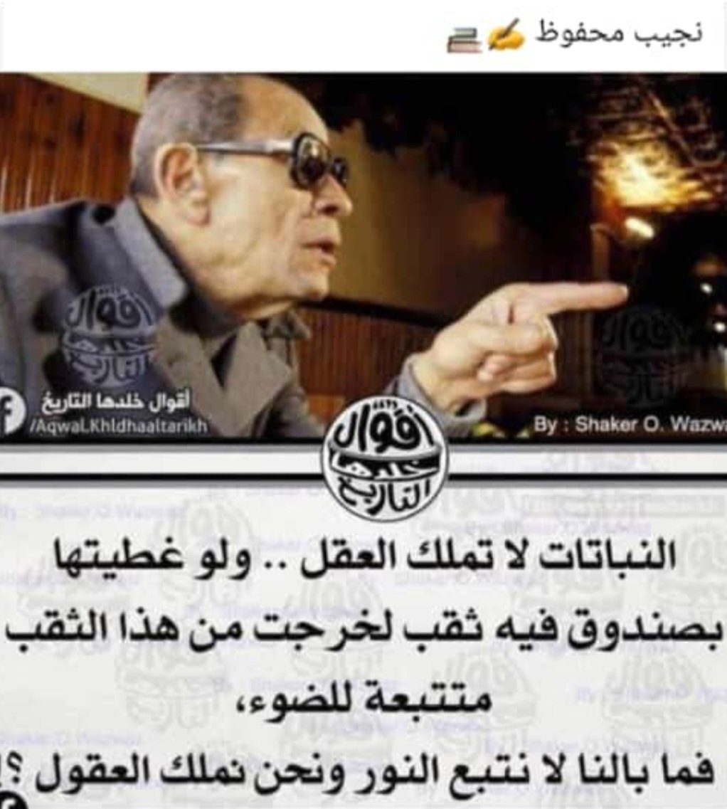 Ghada Abyad (@ghadaabyad) on Twitter photo 