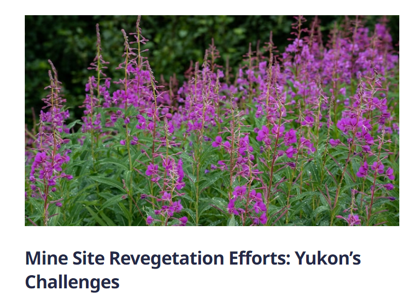 Guillaume Nielsen (@gnielsenyt) on Twitter photo I was featured in an article about the challenges of revegetating Yukon's mine sites!
If you're interested, check it out: It's in both French and English
French: bit.ly/3SiOQbu
English: bit.ly/47bvxFe
<a href="/YukonUresearch/">YukonU Research</a> <a href="/MitacsCanada/">Mitacs</a> <a href="/NSERC_CRSNG/">NSERC / CRSNG</a> <a href="/YukonUniversity/">Yukon University</a> I was featured in an article about the challenges of revegetating Yukon's mine sites!
If you're interested, check it out: It's in both French and English
French: bit.ly/3SiOQbu
English: bit.ly/47bvxFe
<a href="/YukonUresearch/">YukonU Research</a> <a href="/MitacsCanada/">Mitacs</a> <a href="/NSERC_CRSNG/">NSERC / CRSNG</a> <a href="/YukonUniversity/">Yukon University</a>