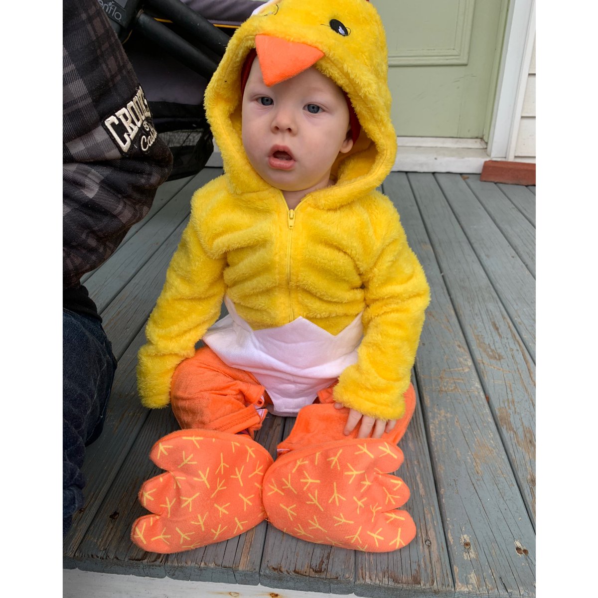 kaitpadillaa's tweet photo. Jaspers first Halloween 🐣 https://t.co/az9zJ854IV