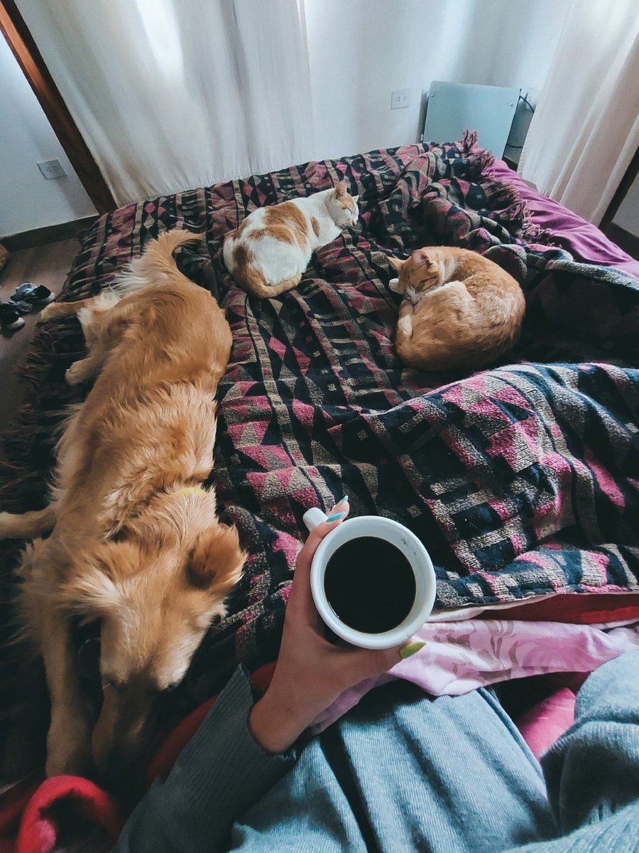No necesito más nada en la vida 💘🐶🐱☕️🌧