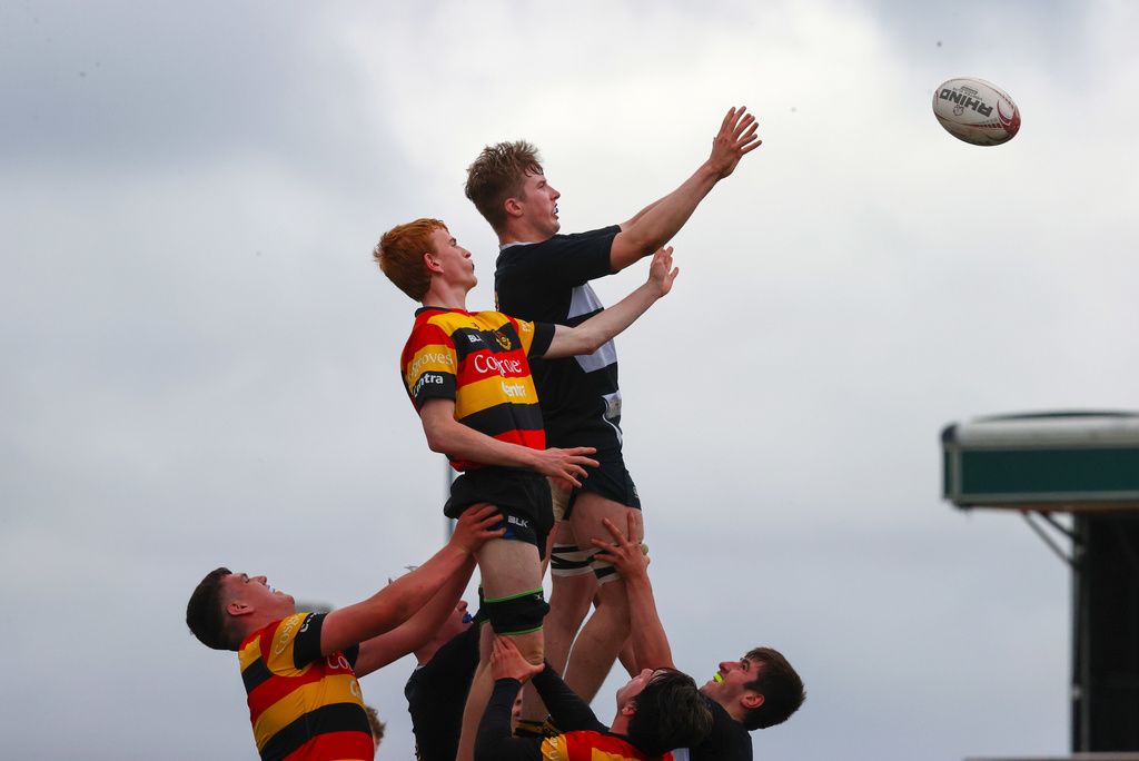 📢 𝗩𝗔𝗖𝗔𝗡𝗖𝗬 | Connacht Rugby are now inviting applications for the position of Sligo Rugby Development Officer.    

Click the link for all the information on this job and how to apply | connachtrugby.ie/jobs/

#ConnachtRugby | #JobFairy