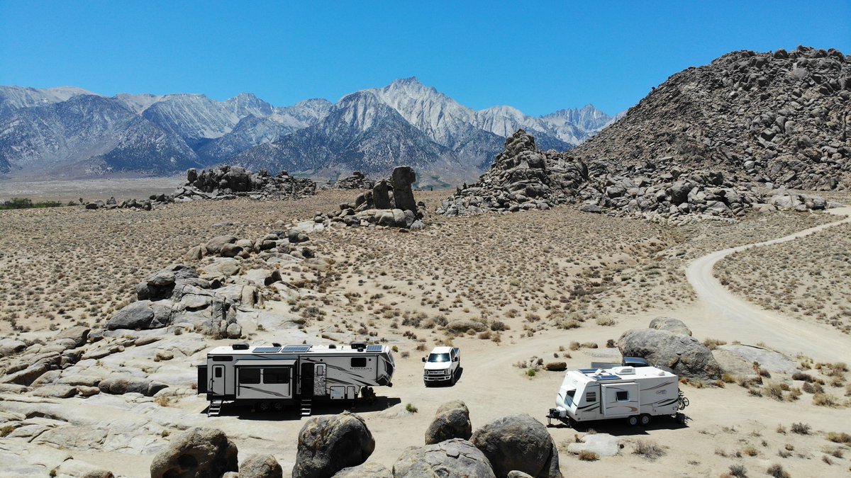 Crazy Family Adventure tweet media