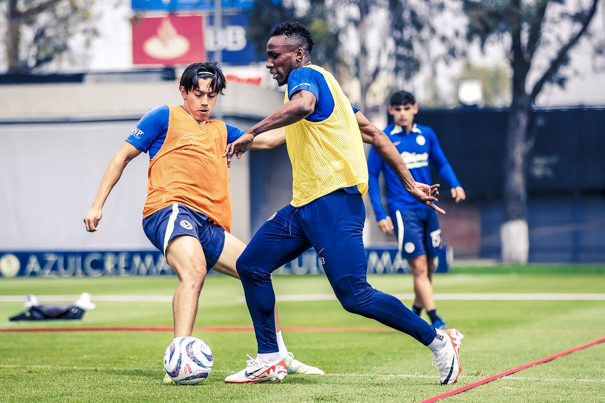 En el Nido se trabaja 🦅