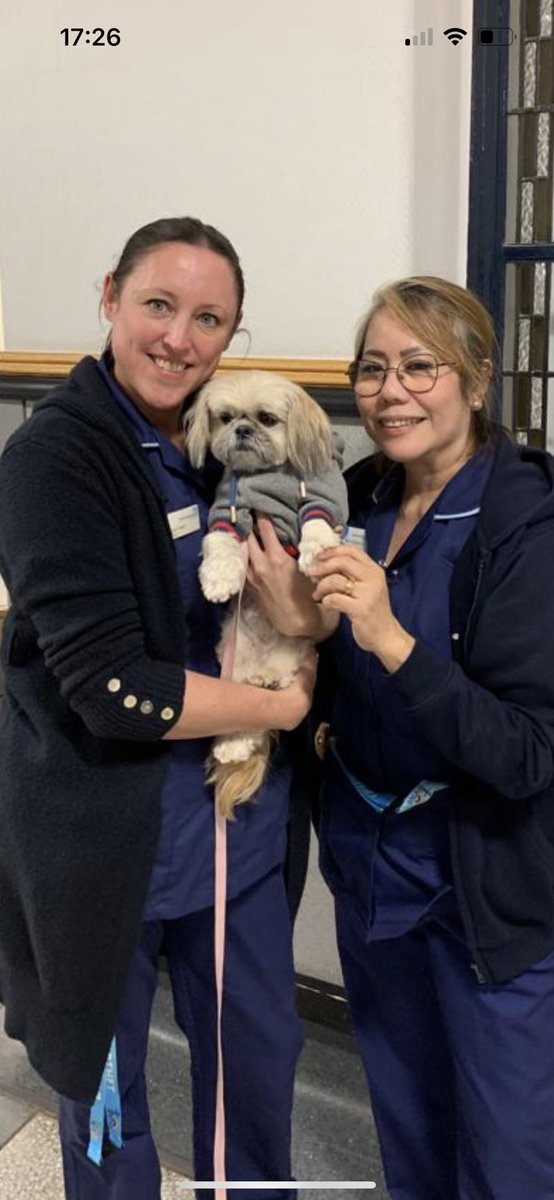 Beautiful Ella brightens up everyone’s day 💕<a href="/PoblacionJeanne/">Jaypee</a> <a href="/KieronMackrill/">Kieron Mackrill</a>