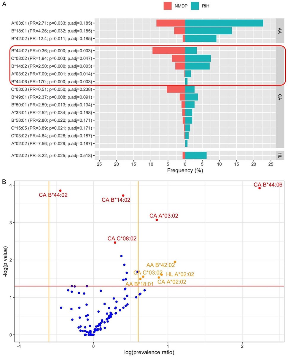 ***HLA is linked to cancer susceptibility, including GU malignancy, including #kidneycancer #prostatecancer #bladdercancer
- Latest study Drs. Miguel Carabano and Shaolei Lu just published.  Congratulations!!!
pubmed.ncbi.nlm.nih.gov/37854217/