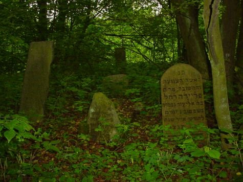 F_ZIHK's tweet photo. 2.11.1942 niemieccy oprawcy deportowali do #Treblinki Żydów z #Knyszyna #Shoah https://t.co/0hT3yOuVWU
