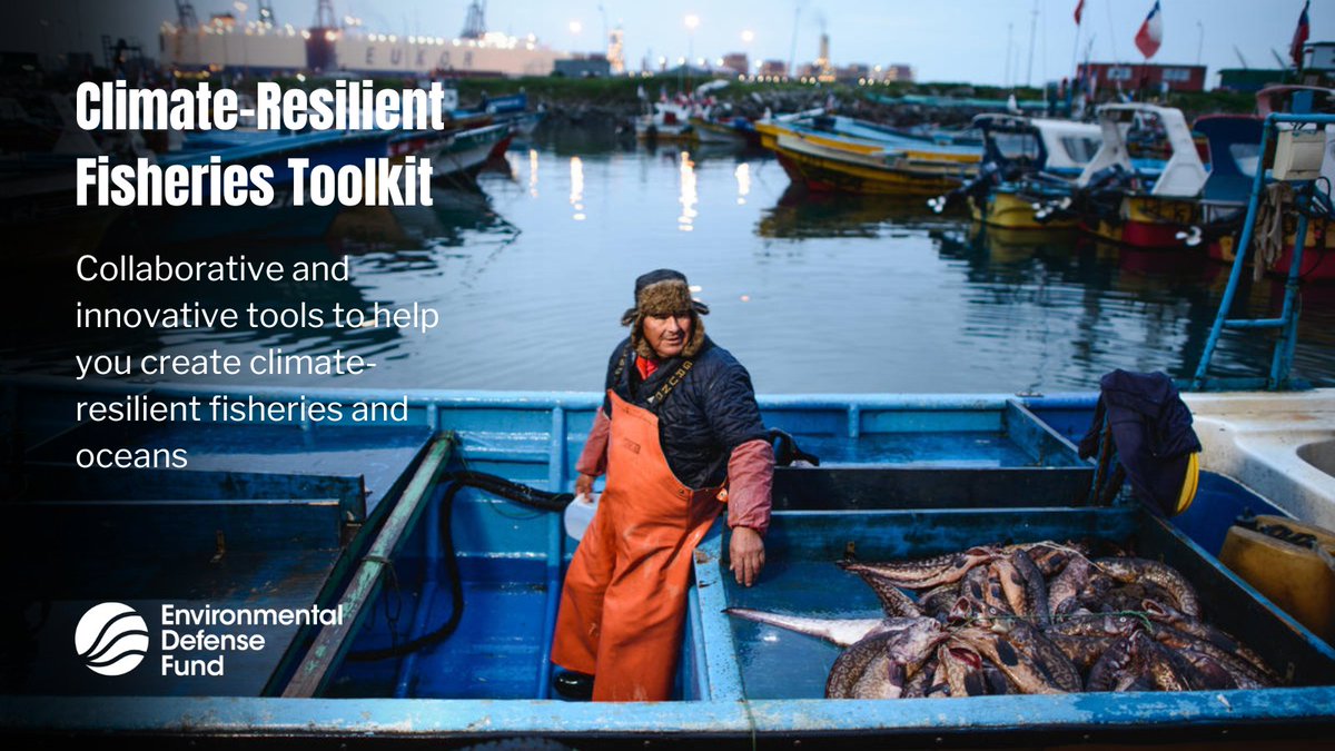 EDFOceans's tweet photo. After years of working with partners and communities around the world to co-create solutions that produce more fish in the sea, more food on the plate &amp; more prosperous communities, we created a toolkit to share our lessons learned. 

Check it out now: https://t.co/QB5iWQBa1r https://t.co/rkG4jjMwaW